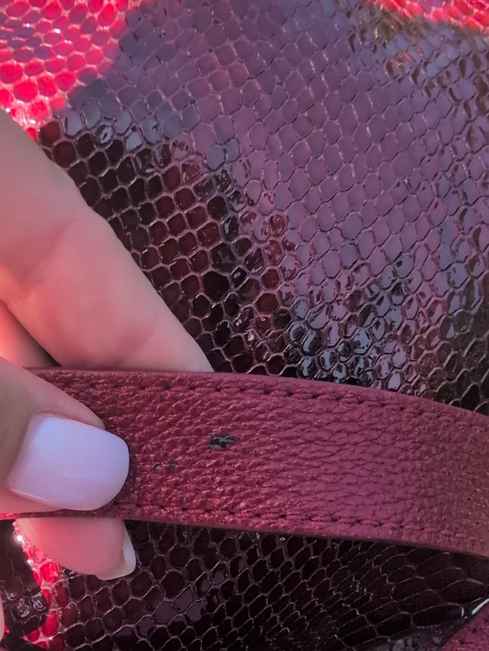 Brighton red snakeskin